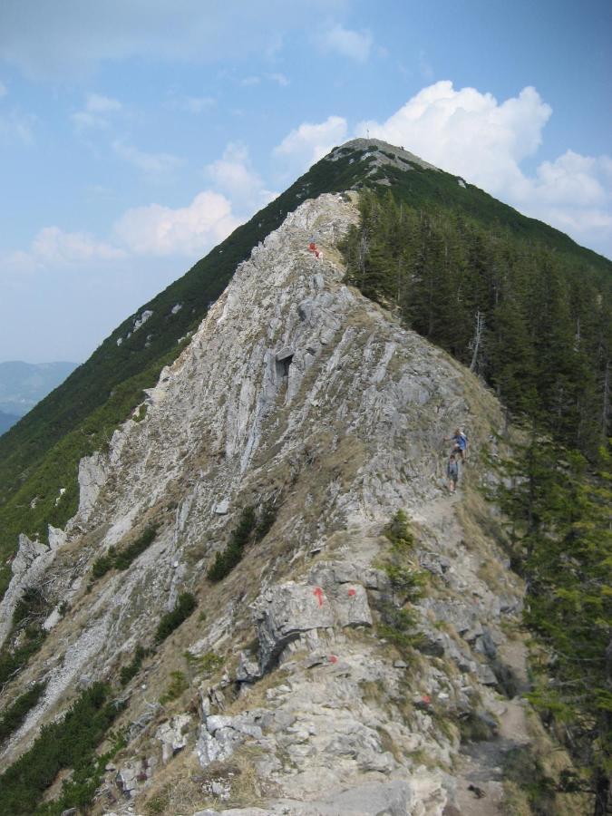 슐리에르시 Blsv Sportcamp Direkt Am Kurvenlift 호스텔 외부 사진